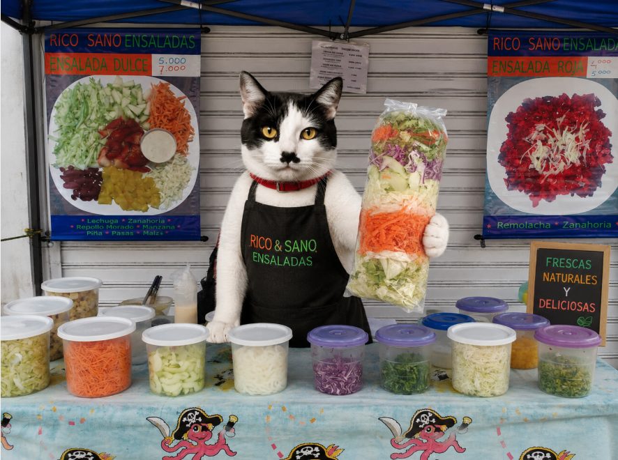 RICO & SANO ENSALADAS